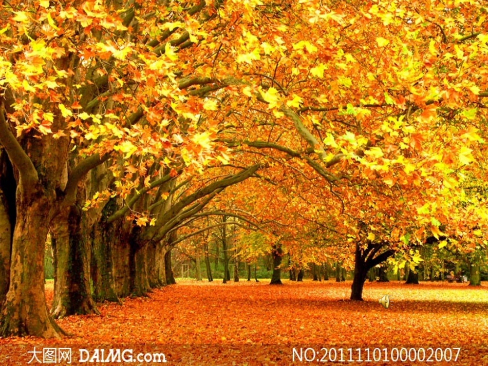 郭婷玉《秋天的雨》课件_第3页