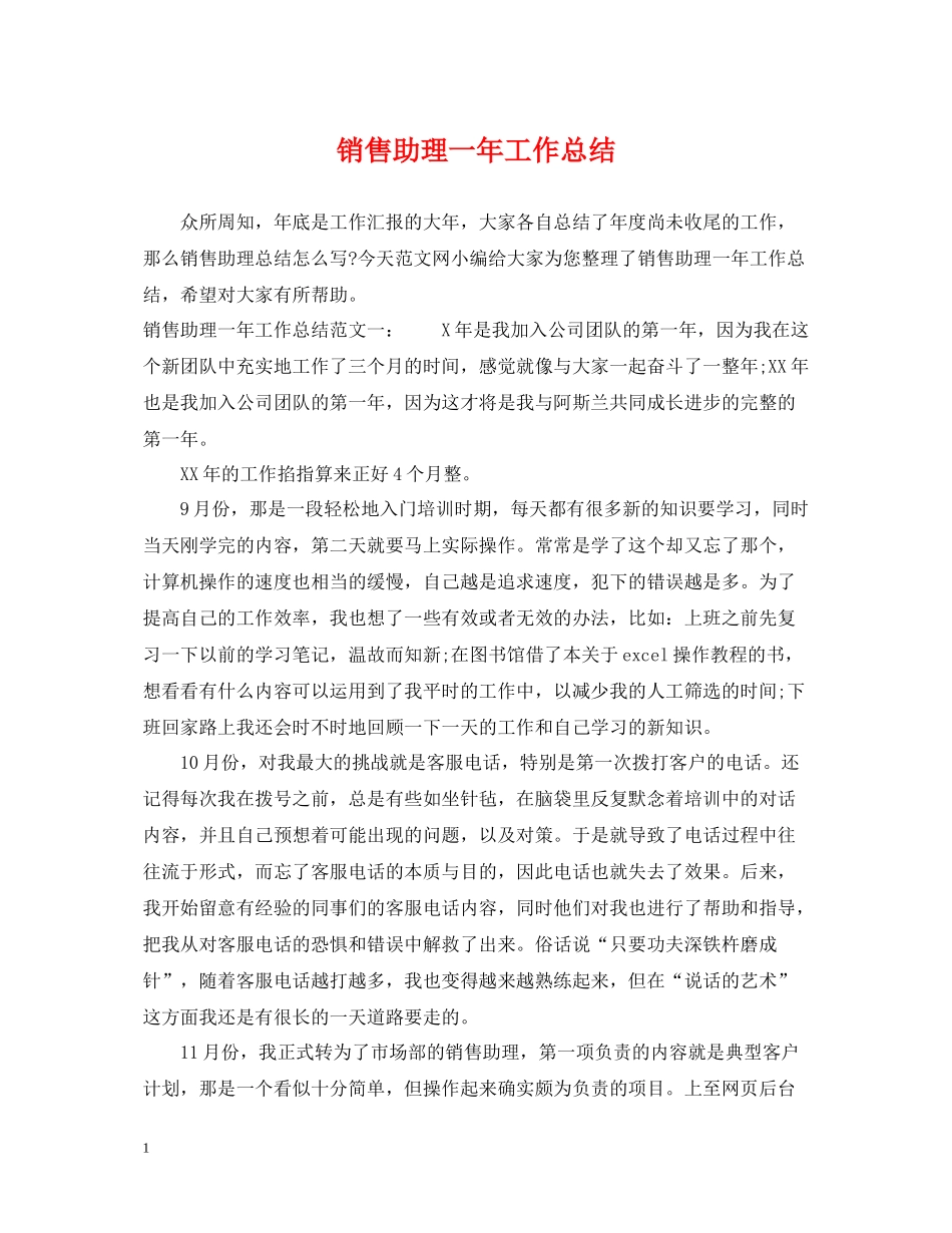 销售助理一年工作总结_第1页