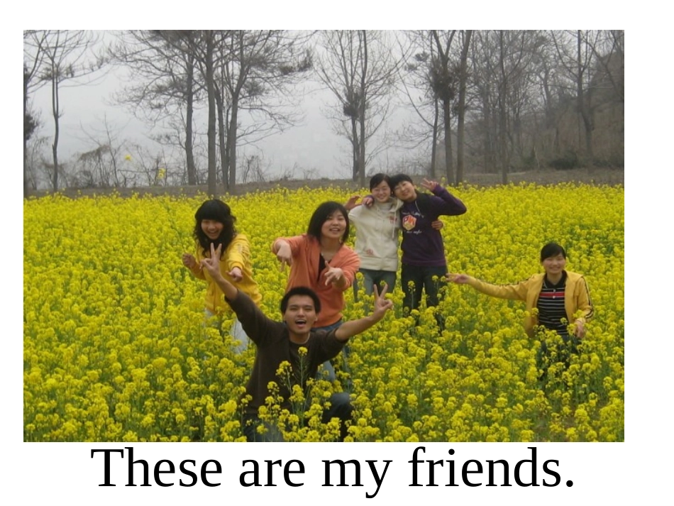 七年级上Unit2_第3页