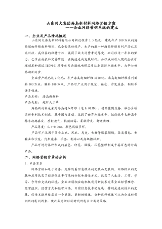 同大集团海岛新材料的网络营销方案