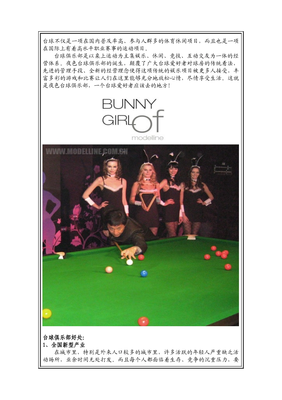 台球俱乐部投资方案_第3页