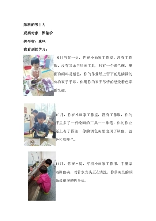 学习故事《颜料的魔力》