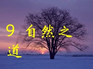 自然之道 ()