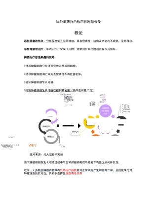 抗肿瘤药物的作用机制与分类