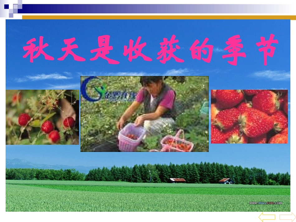 平均分1 (2)_第2页