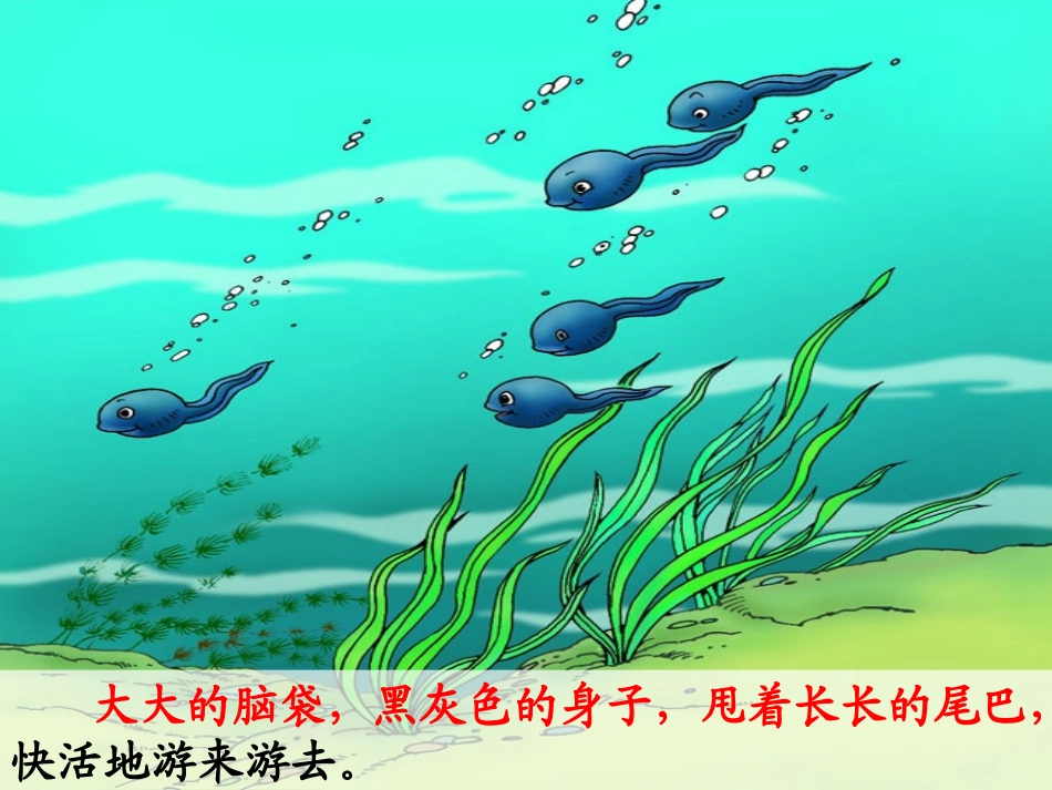 《小蝌蚪找妈妈》第二课时_第2页