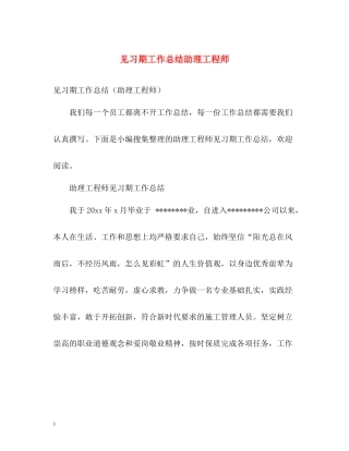见习期工作总结助理工程师