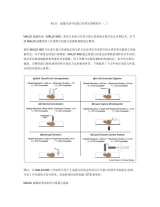 MALDI成像质谱中的蛋白质鉴定策略简介二