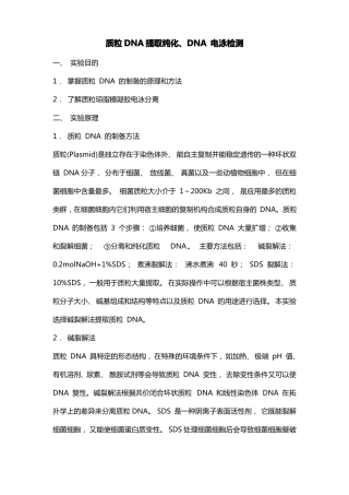 质粒DNA提取及纯化