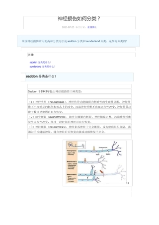 神经损伤如何分类