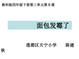 四下三5面包发霉了陈建秋