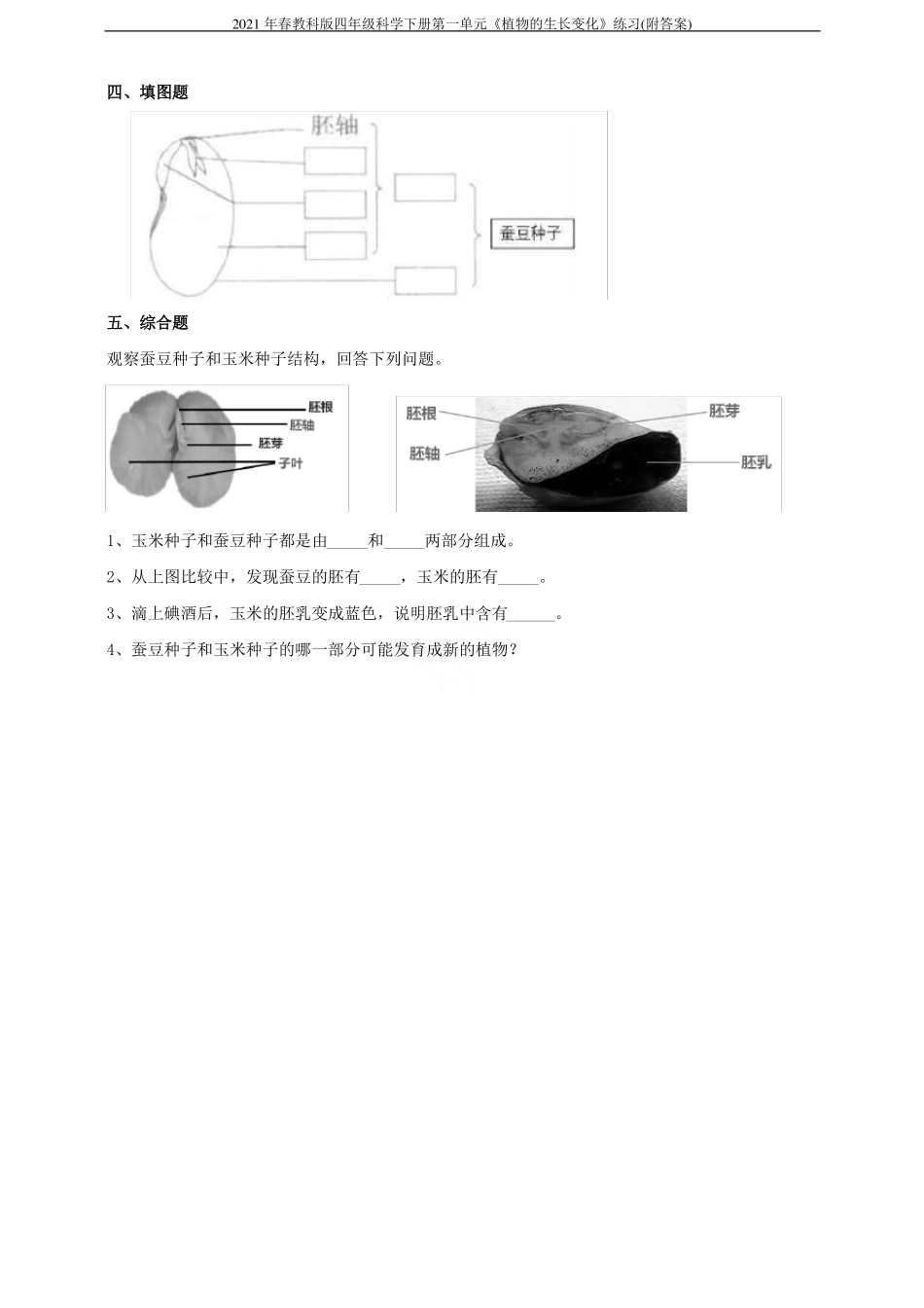 2021年春教科版四年级科学下册植物的生长变化练习附答案_第2页