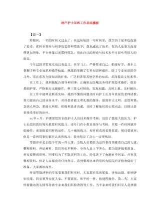 助产护士年终工作总结模板 