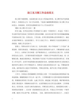 助工见习期工作总结范文 