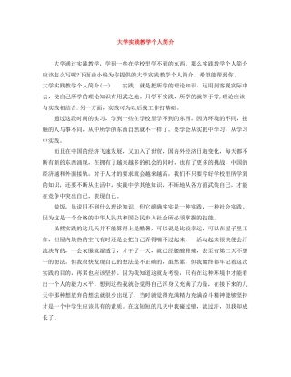 大学实践教学个人简介