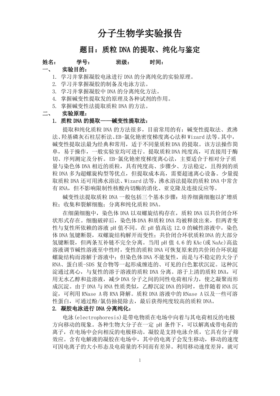质粒DNA的提取纯化与鉴定_第1页