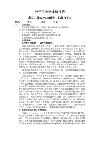 质粒DNA的提取纯化与鉴定