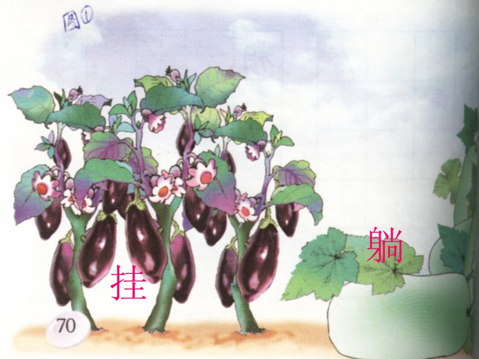 燕子妈妈笑了_第3页