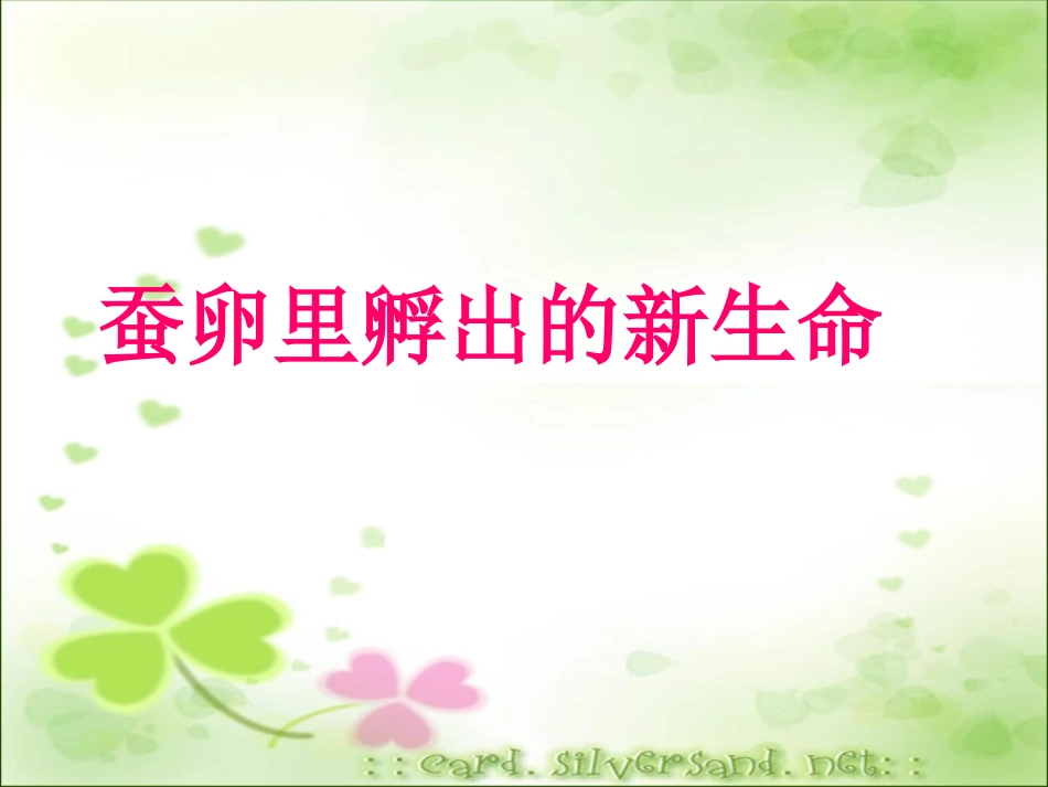 -蚕卵里孵出的新生命()_第1页
