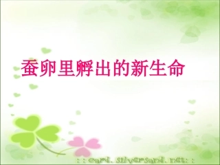 -蚕卵里孵出的新生命()