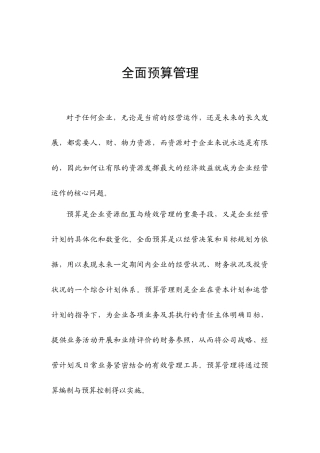 全面预算37021917