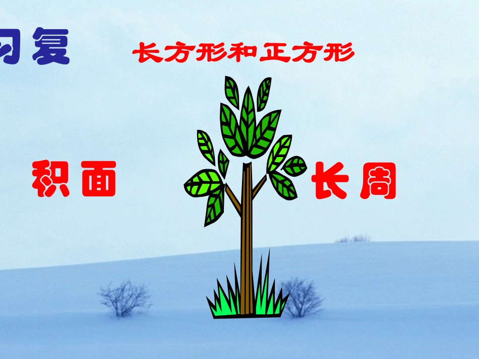 期末复习长方形正方形面积周长复习第一课时_第1页