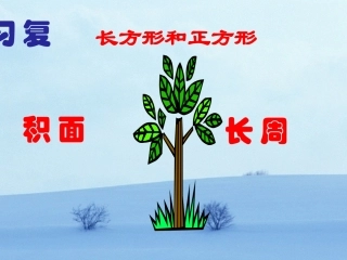 期末复习长方形正方形面积周长复习第一课时