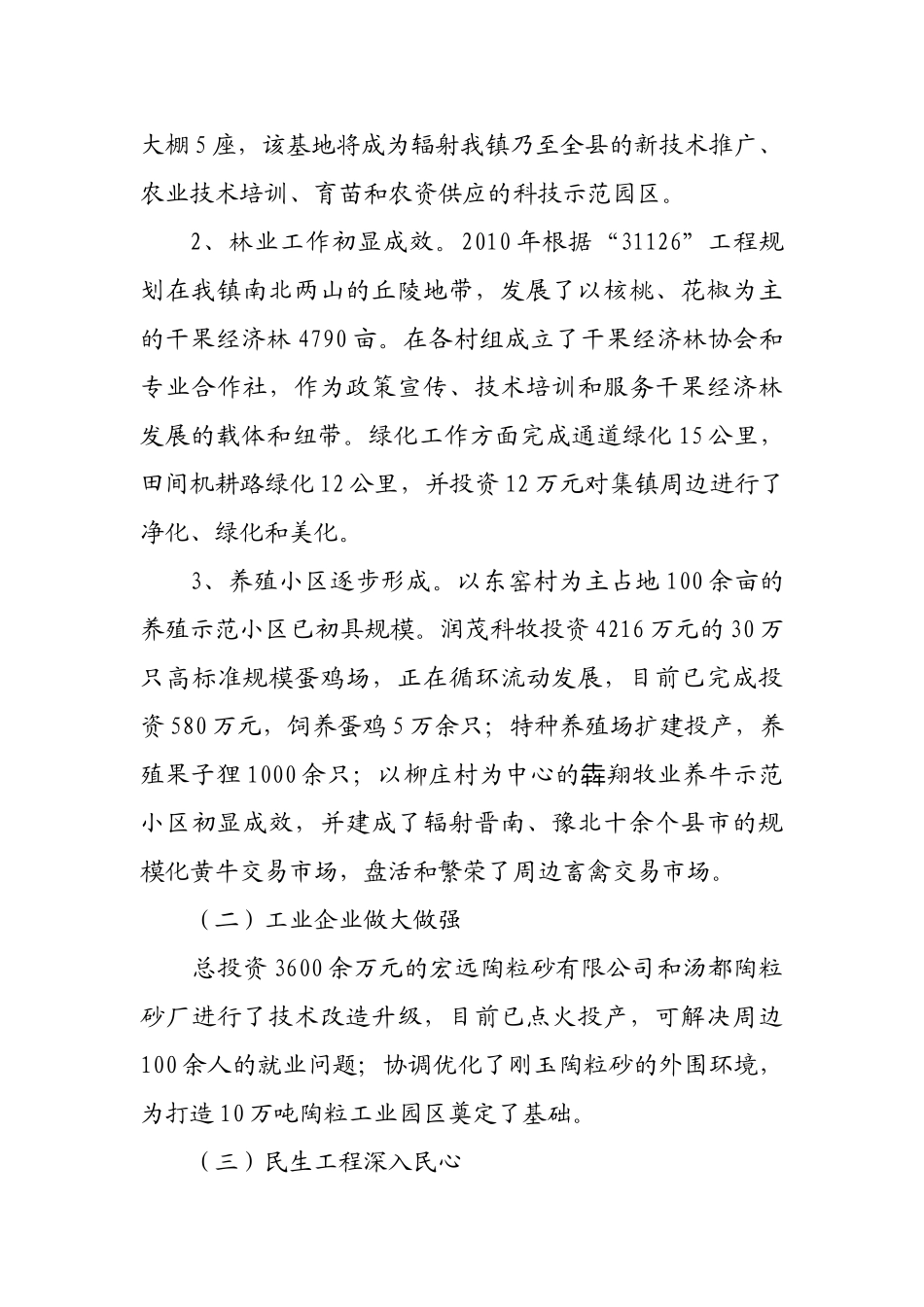 全镇经济工作动员大会_第3页