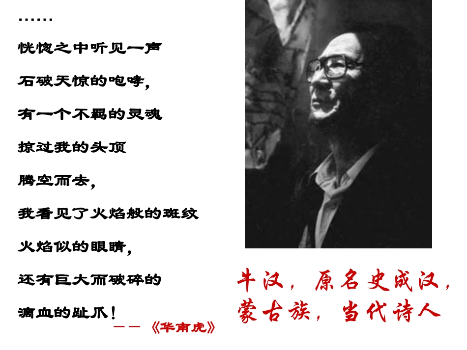 我的第一本书 ()_第2页