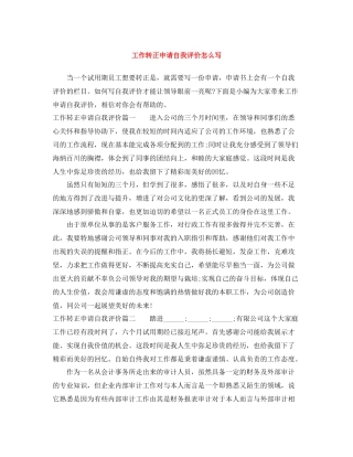 工作转正申请自我评价怎么写