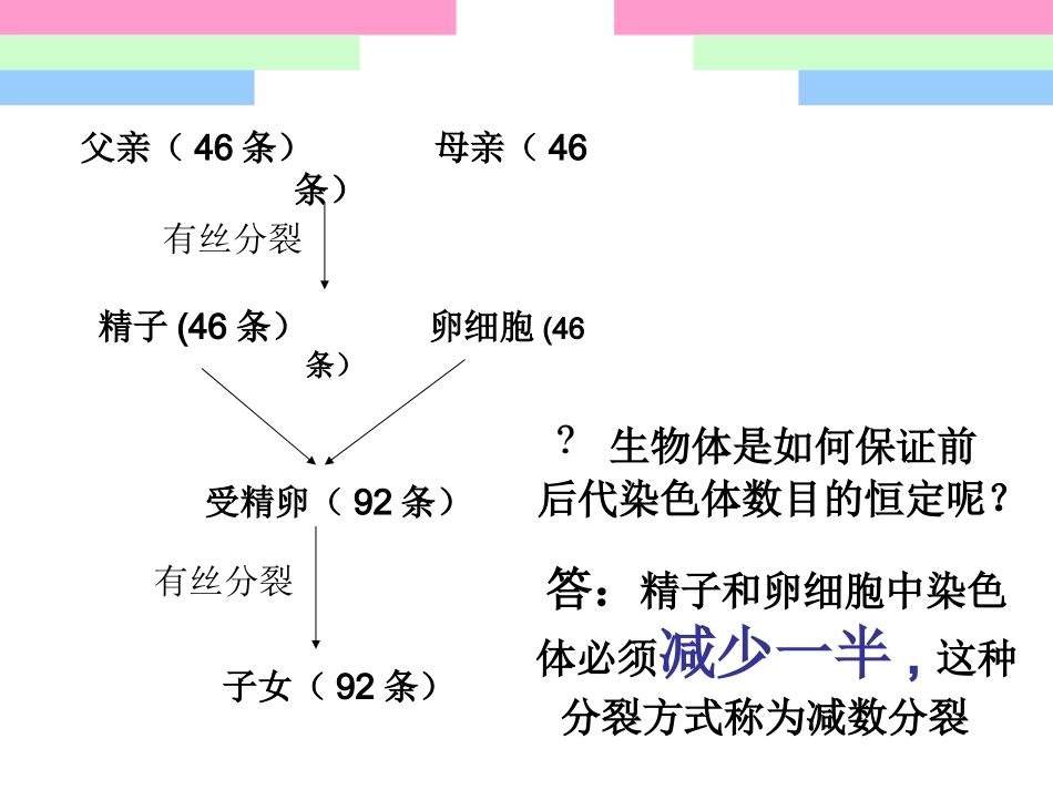减数分裂与受精作用——第一课时减数分裂_第3页