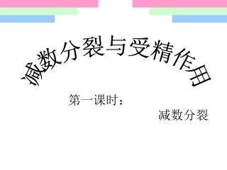 减数分裂与受精作用——第一课时减数分裂