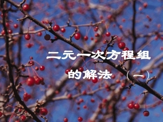 二元一次方程组的解法
