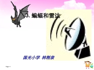 蝙蝠和雷达课件