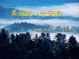 美丽的小兴安岭 (4)