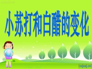 小苏打和白醋的变化3