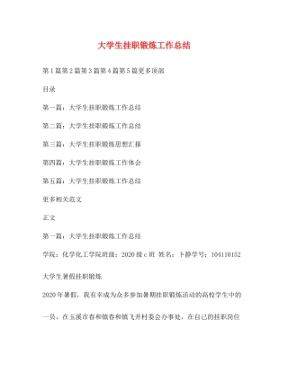 大学生挂职锻炼工作总结2