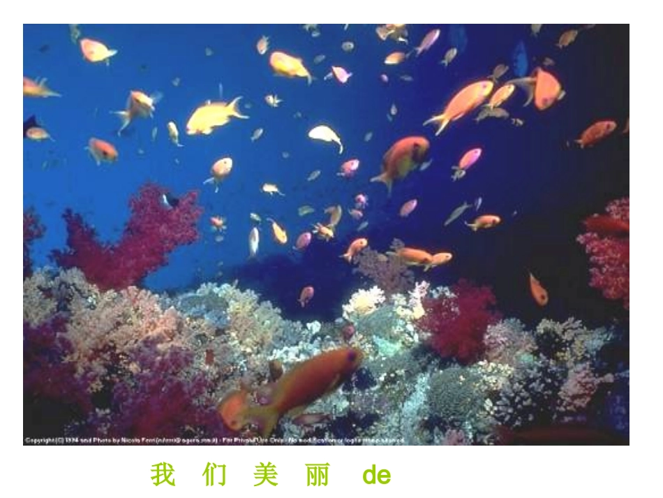 关爱社会第二课时_第3页