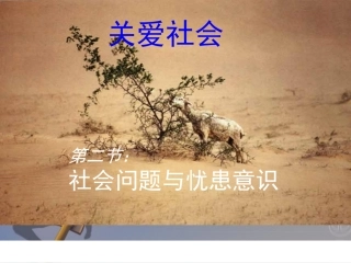 关爱社会第二课时