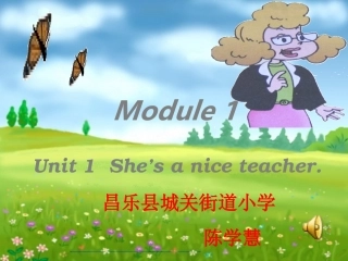 第四届全国中小学优秀教学案例评选She_is_a_nice_teacher