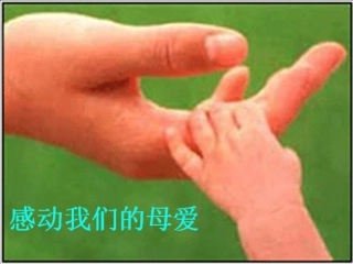 龙兰《妈妈的账单》课件一_