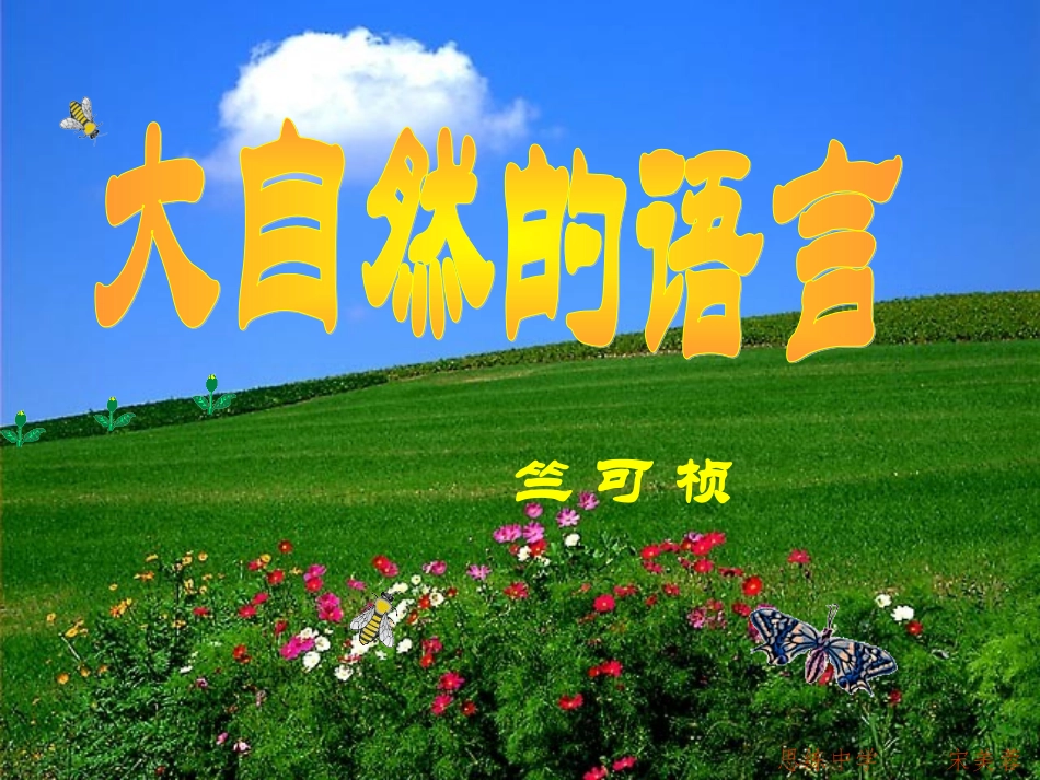 大自然的语言课件_第2页