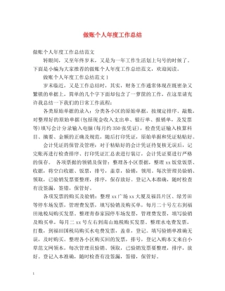 做账个人年度工作总结 
