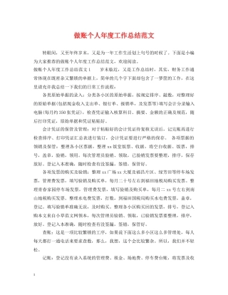 做账个人年度工作总结范文 
