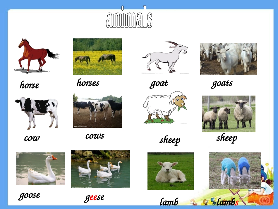 六年级总复习名词课件_第2页