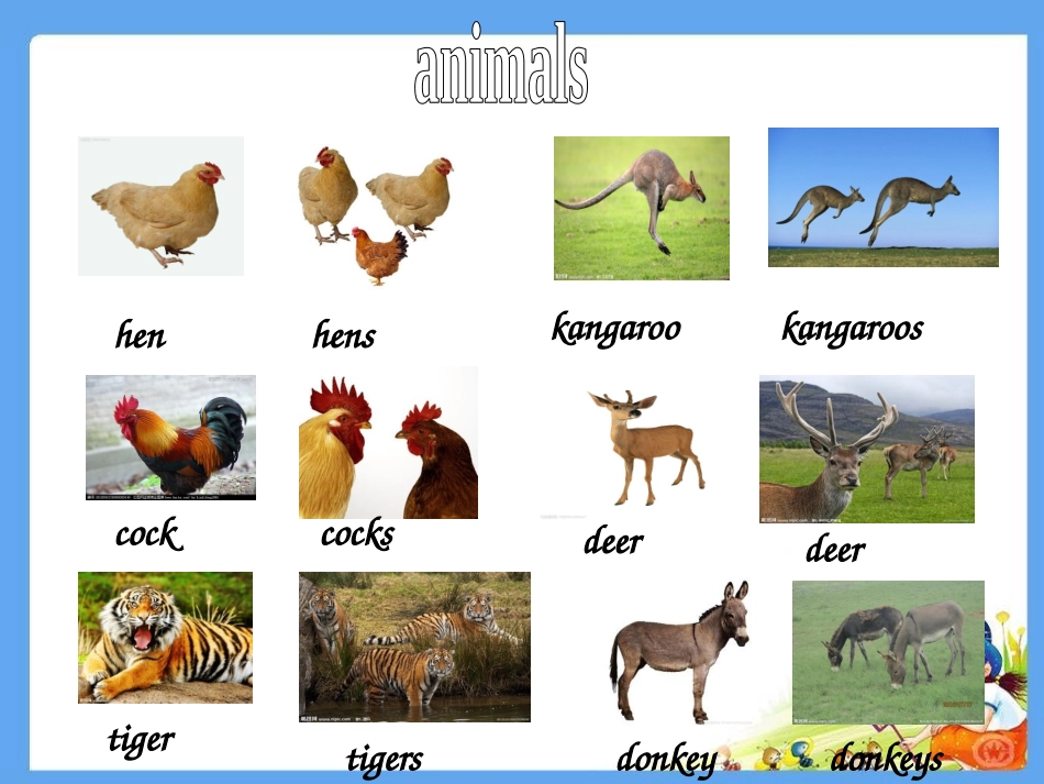 六年级总复习名词课件_第3页