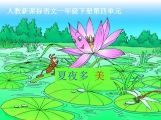 《夏夜多美》PPT课件