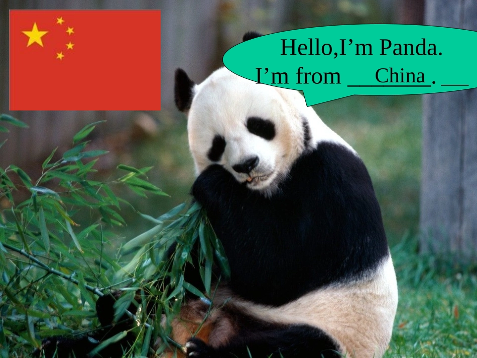 小学英语三年级下册recycle1课件_第2页