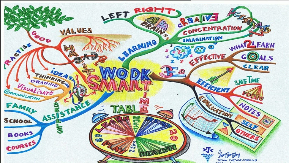 思维导图 (3)_第1页