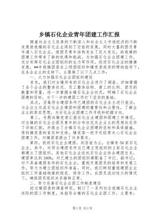 乡镇石化企业青年团建工作汇报